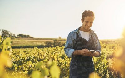 Comment trouver un emploi saisonnier en différents secteurs