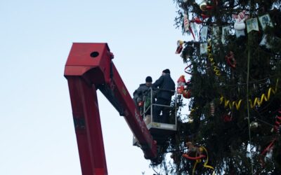 Recrutement pour les fêtes de fin d’année : les solutions intérim pour le BTP, le transport et l’électricité